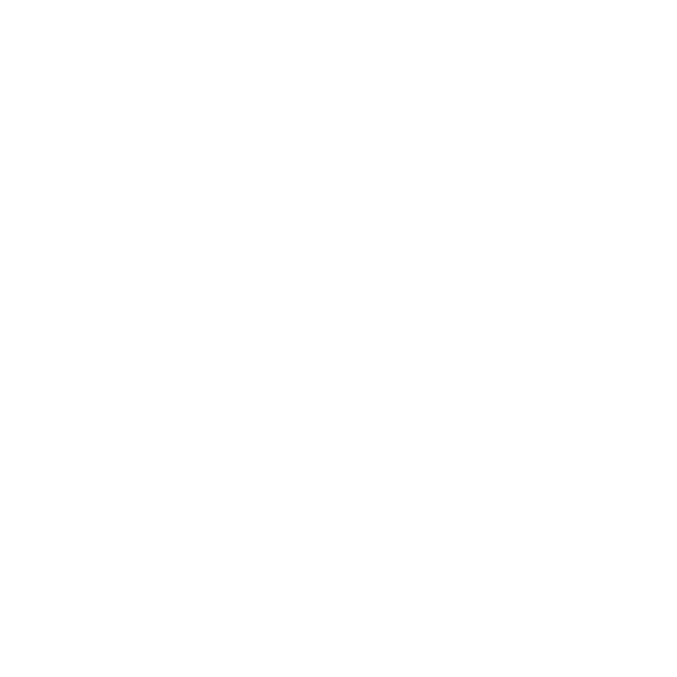 Noctula Logo
